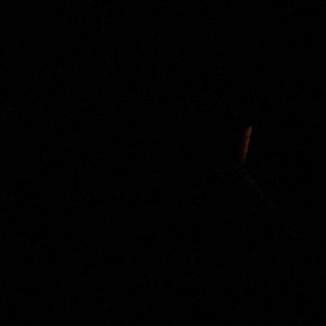 Meet your Posher, Jackson